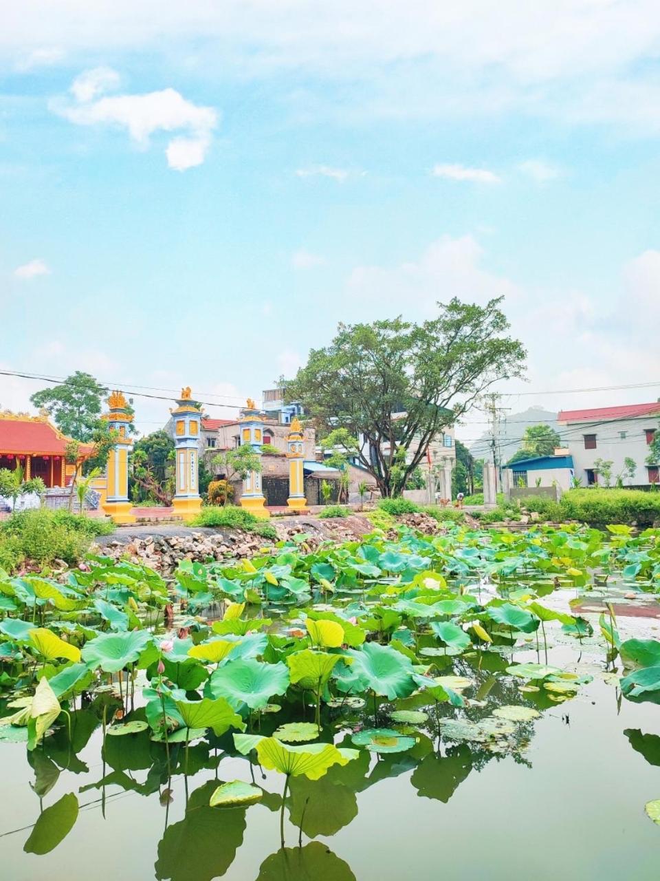 Trang An Natural Mountainside Homestay Ninh Binh Exterior foto