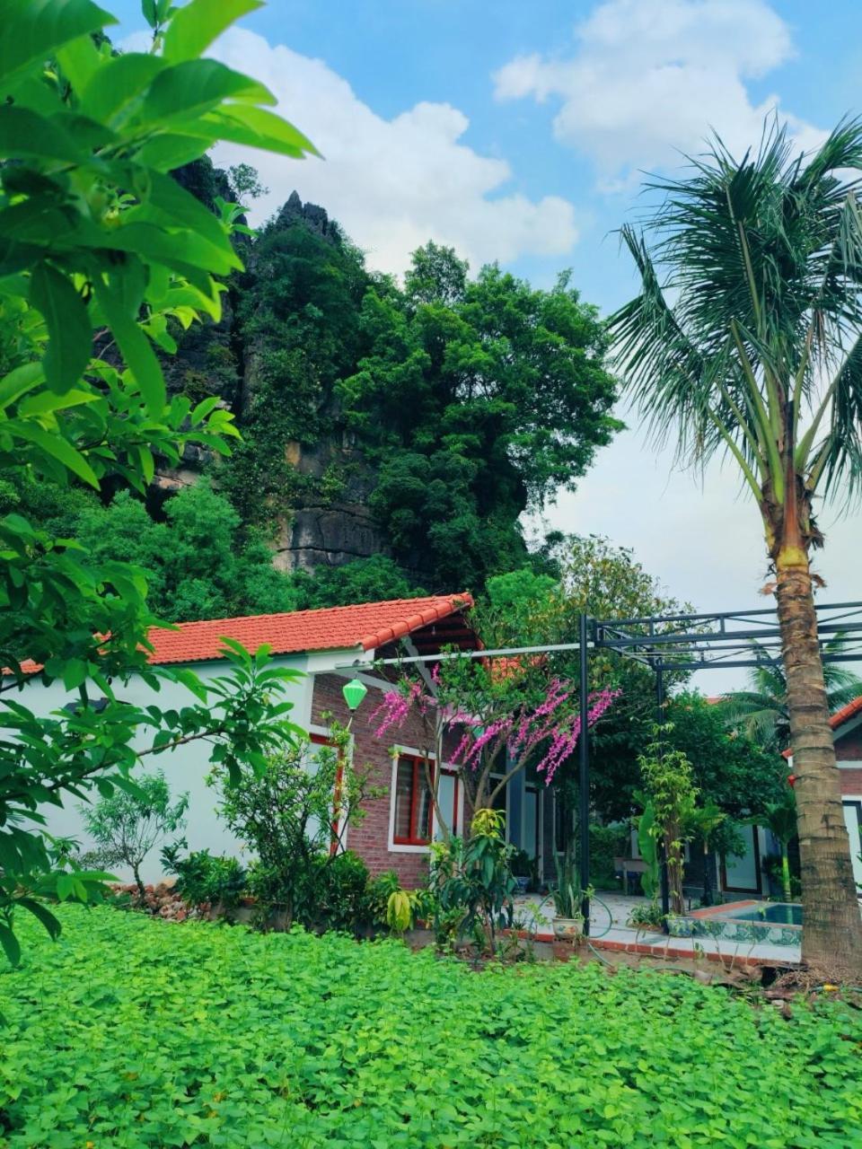 Trang An Natural Mountainside Homestay Ninh Binh Exterior foto