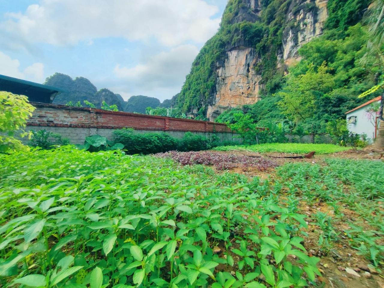 Trang An Natural Mountainside Homestay Ninh Binh Exterior foto